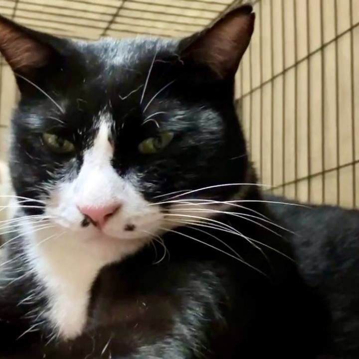 Bcdcc901 b642 447d 81a4 fb4056cceed6 1728380372357