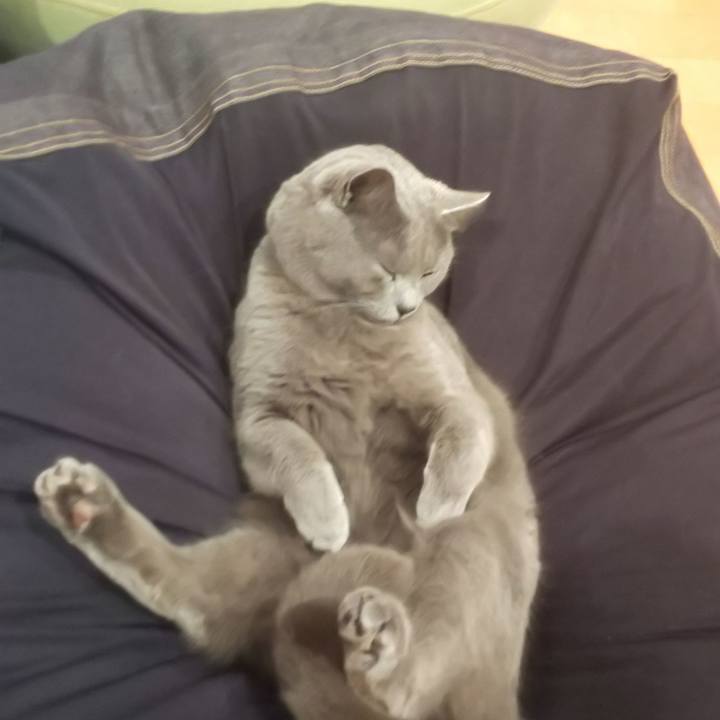 Bcdcce77 8d46 4efb 82e5 50e82da81e18 1552279727075