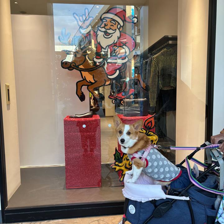 Bcdd0d3a 5d92 4abb 8440 3e5d236e8aaf 1764399306990