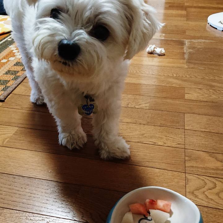 Bcdd3aee 342a 4def a682 cd3ece52e79a 1532641869505