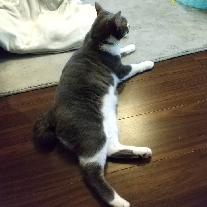 Bcdd47e6 2bf1 4906 9faf 728be180f8ea 1615845168706