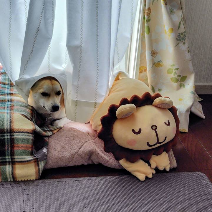 Bcdd6546 3b98 4785 8f6e 60c36856d0be 1770710064851