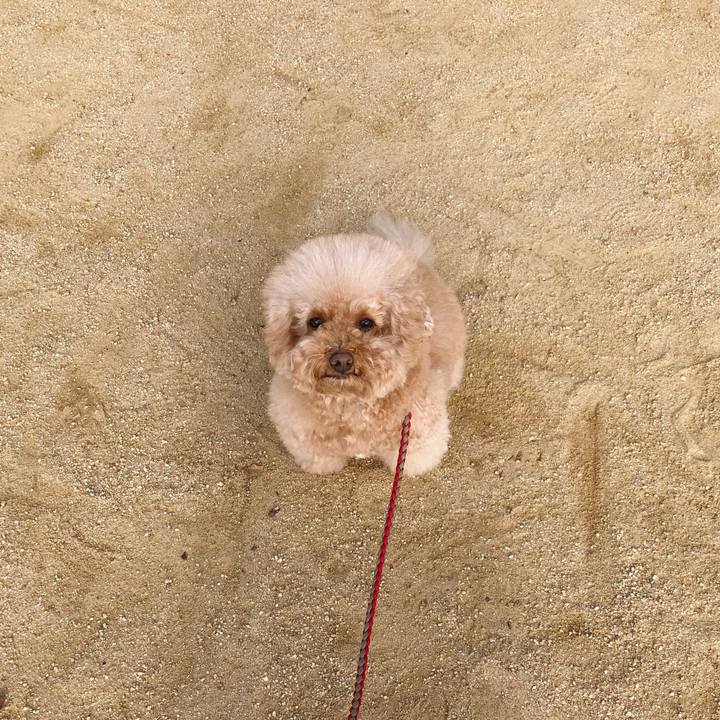 Bcdddcde 9215 4d59 8d2e 0e4100e7b954 1510453448401