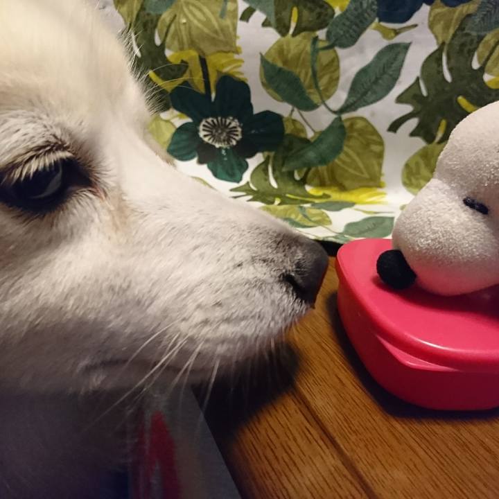 Bcddf99b 9214 4adb b592 1800a00ce35a 1507680661977