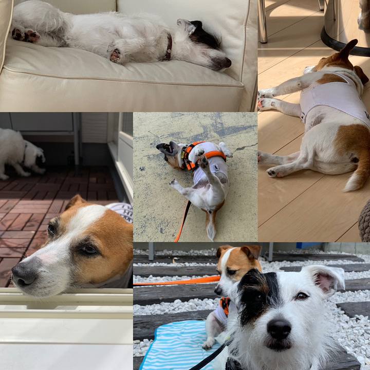 Bcde0878 ee44 4789 9a33 f04a32ee02f4 1558241655024