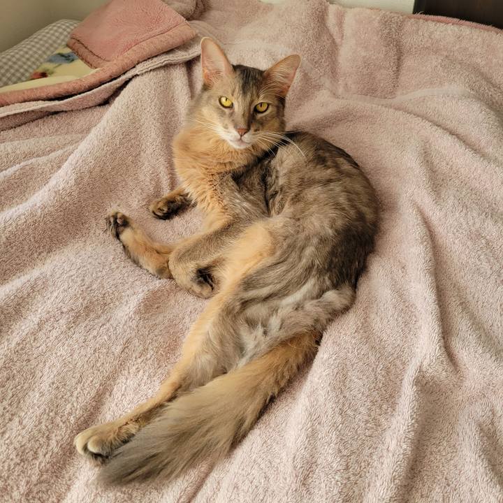 Bcde2436 1493 4c91 9aa2 ec2d8ef650f1 1635231270985