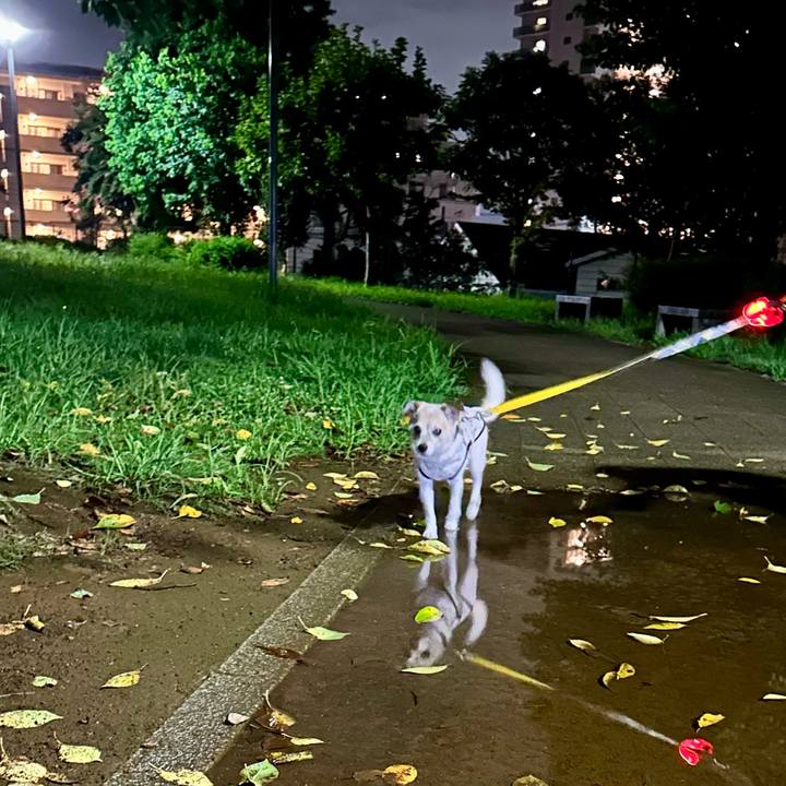 Bcde4a1c 4bf5 491f 9566 014dd54acad1 1725021610063