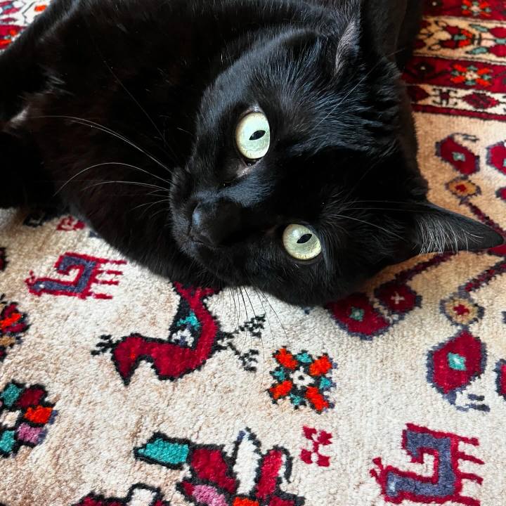 Bcde60dd ad84 49c8 9b19 6315f033a305 1718572279082