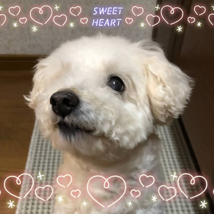 Bcde695b 6eb2 437b 920e b46315caf8d9 1524012777062