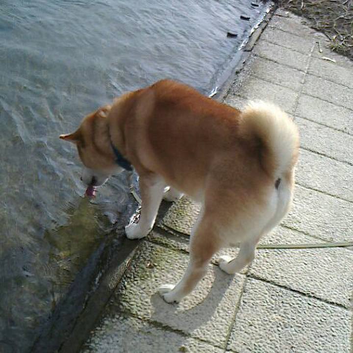 Bcdea49a cfe4 449a a230 c96c329a7875 1544360277193