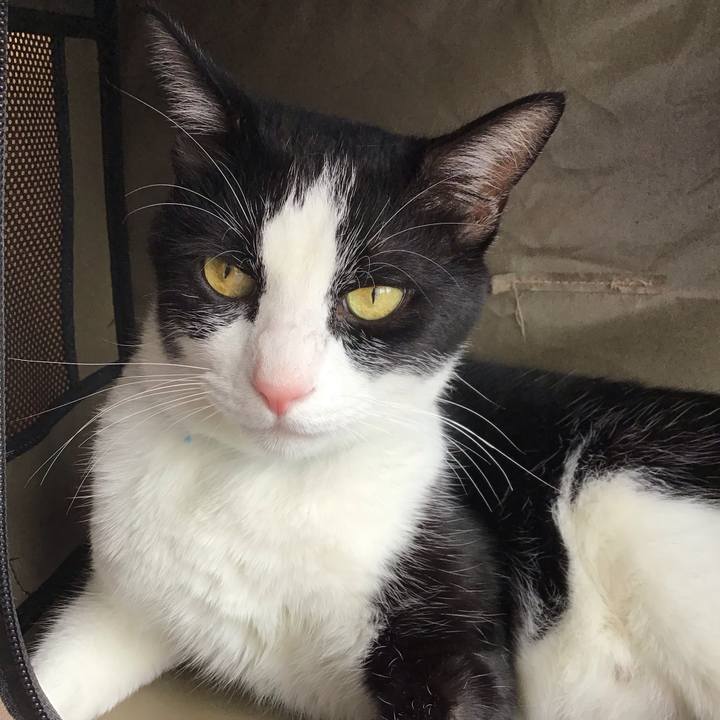 Bcdf036f 7bf0 40e6 9388 62532a689764 1719306091276