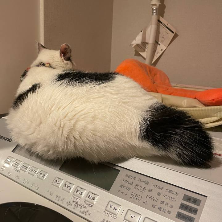 Bcdf2549 d872 45da bfda abd898378f64 1721659446291