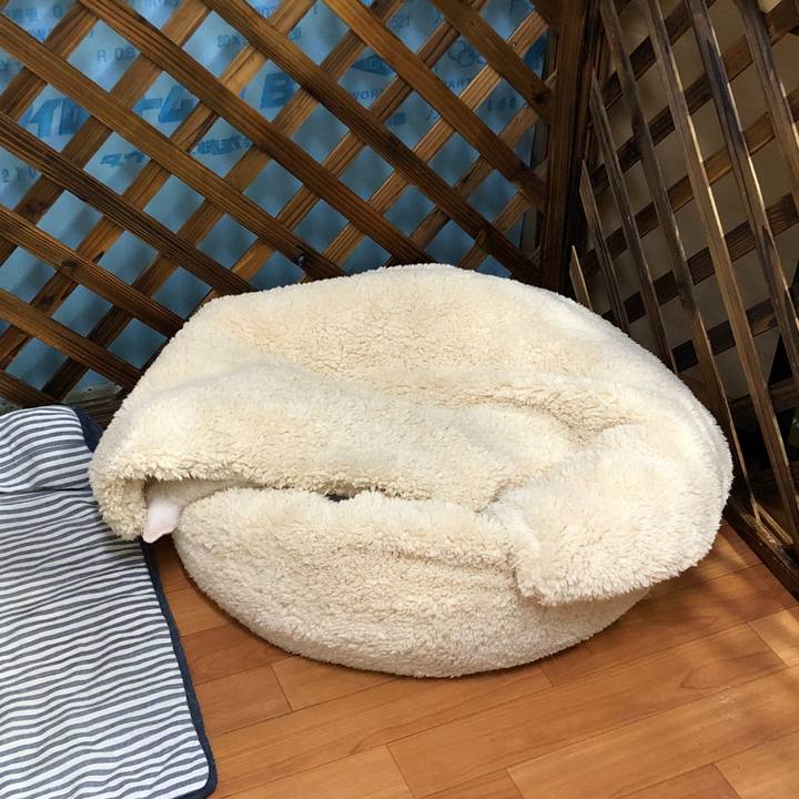 Bcdf26fc 1802 463e 896b c3bf83a0e497 1577799237099