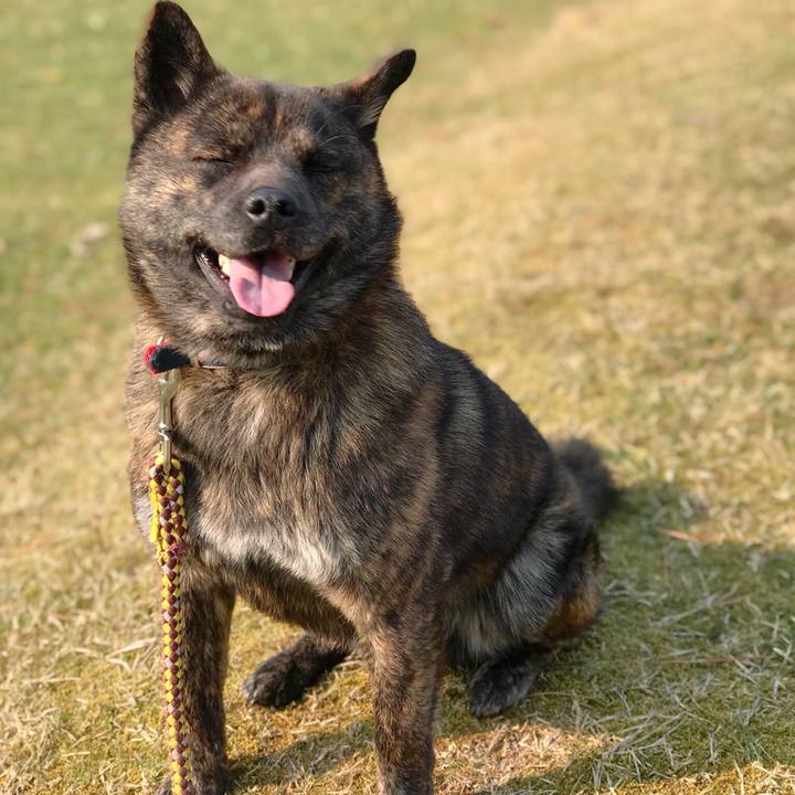 Bcdf7069 5784 4dcf 86f9 36ec00d60a60 1521973830048