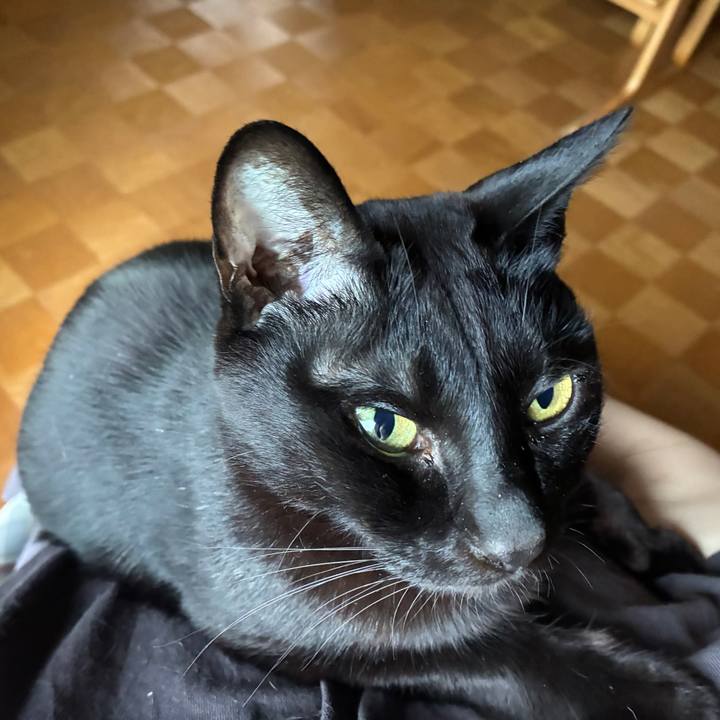 Bcdf7c37 9323 4b6c 80b5 bada53da9ef2 1748987872118