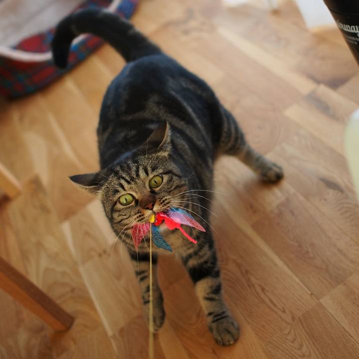 Bcdf92d3 cecd 47bf b99e d28bc3490118 1547882784035