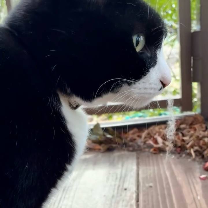 Bcdfbddb c213 4aeb 8089 d67a614111a2 1769002911994