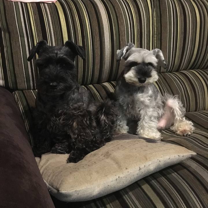 Bcdfc222 ae6b 4e21 8539 db54f1df54d2 1509275101459