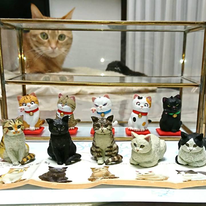 Bcdfd469 f330 4761 afa0 23480ffe6925 1549697638395