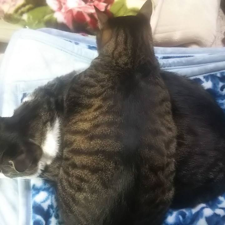 Bcdfe280 86ab 467b b069 4ef3edbea42b 1637661619312