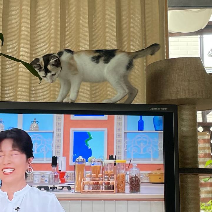 Bcdfebf3 774c 4426 9042 dc235c279613 1658616489666