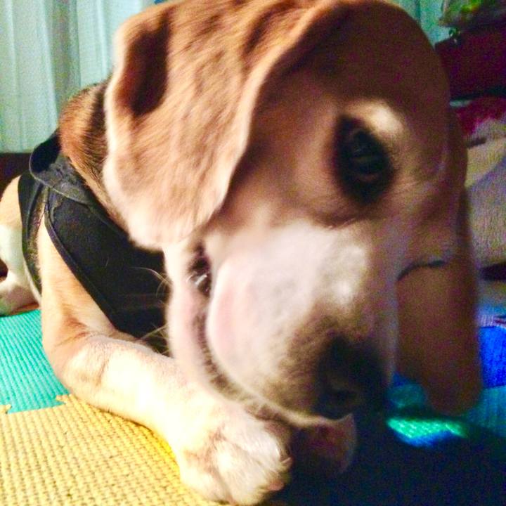 Bce01934 5e12 4e5a 9d23 6e9b87a280d3 1760591651848