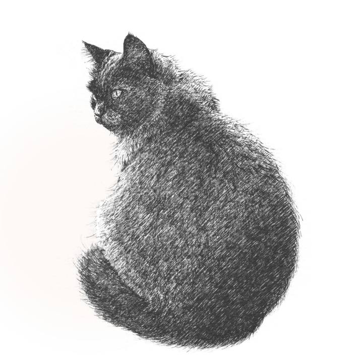 Bce03cdf 592a 44cd 91eb b080788d8ce0 1590588370956