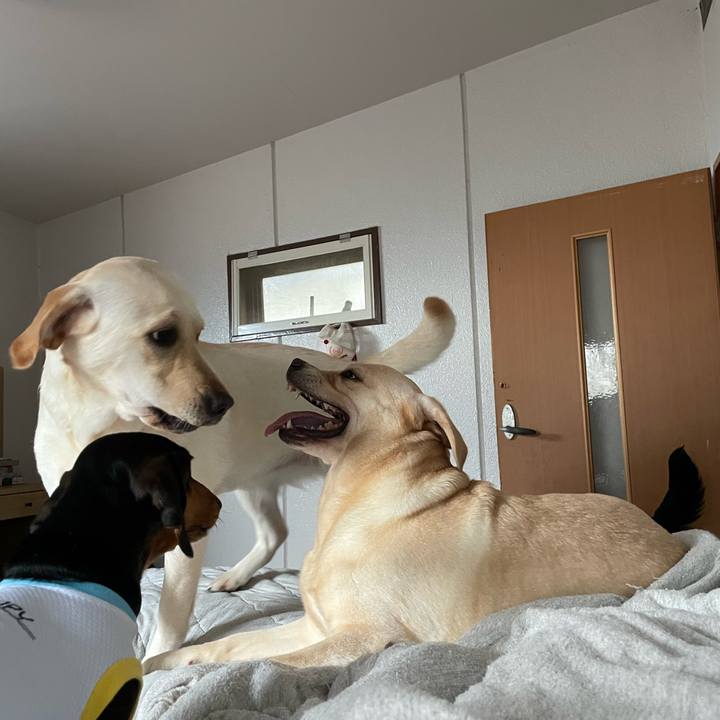 Bce056a6 60ae 485f 8d45 f73e08c7c39e 1656286206627