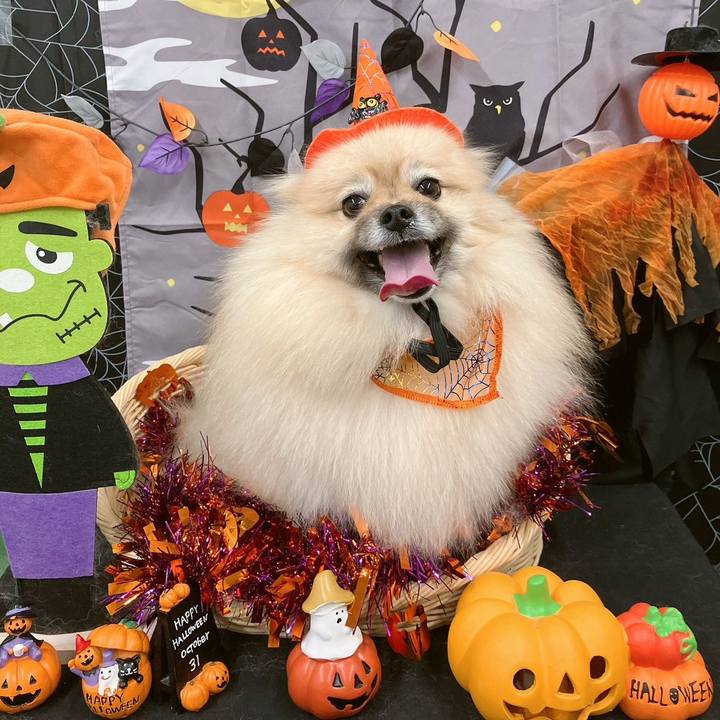 Bce05815 43e0 4dc3 91de 0e9e3dd793cc 1761910681111