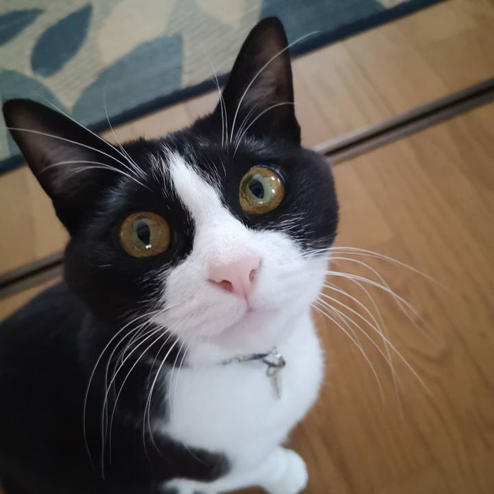 Bce0602e a2fd 431c 881d a40412671a0f 1595650977343