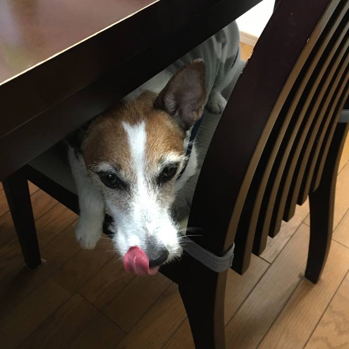 Bce07135 cfbe 4cf3 97df 2f0ac5b0d471 1582845799531