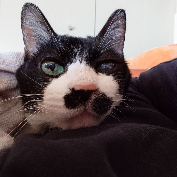 Bce07876 f5a4 464b 9751 dc02d0fcb170 1766026097018