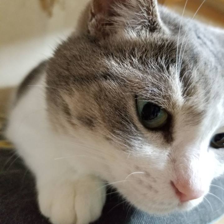 Bce082d5 83e3 48b5 8f1e ea3e1dd0711d 1632743845849