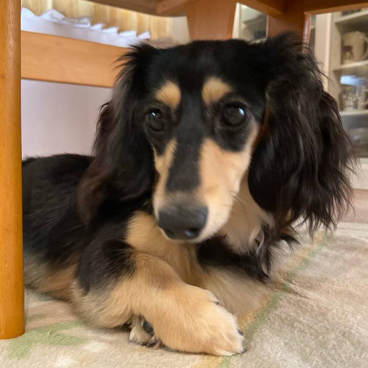 Bce0a5b9 2fae 4ac7 9b82 14411dd4963a 1684110550646