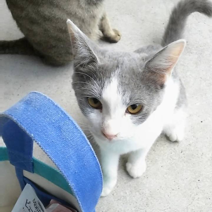 Bce107ce 1dd2 4ce0 8010 270d094af53d 1514885733651