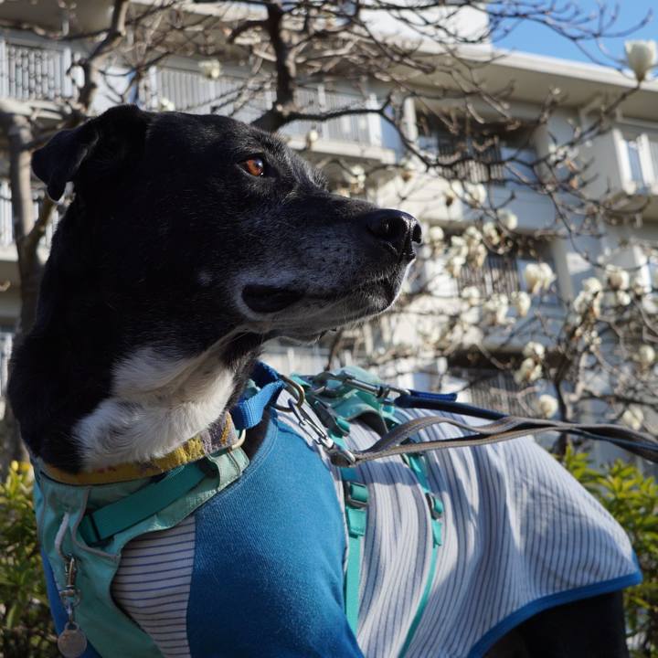 Bce10e13 5ba6 4a35 a5dc 2473bd71d8b0 1772929664262