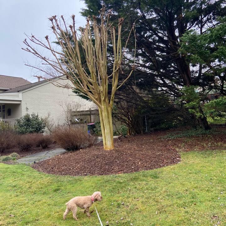 Bce11b31 14cb 4a96 a913 ab0ac3cc5080 1709406292743