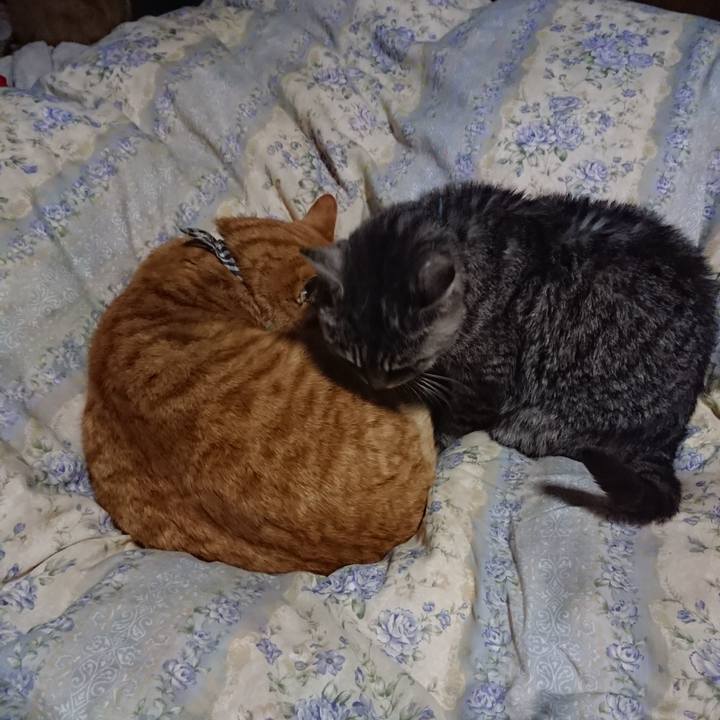 Bce19e94 6205 4bf8 9959 46c486712742 1576065569102