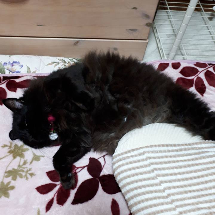 Bce1b68b a876 4a49 8150 efaddd9448b3 1522843907752