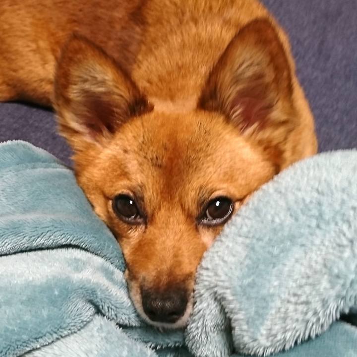 Bce1f5f1 527d 423b a2d7 3ba0bb572fb1 1540729491440