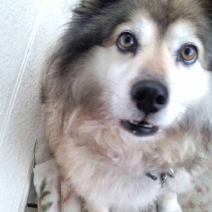 Bce20eee 7f32 4119 b3b1 0d33e19a2892 1563430295394