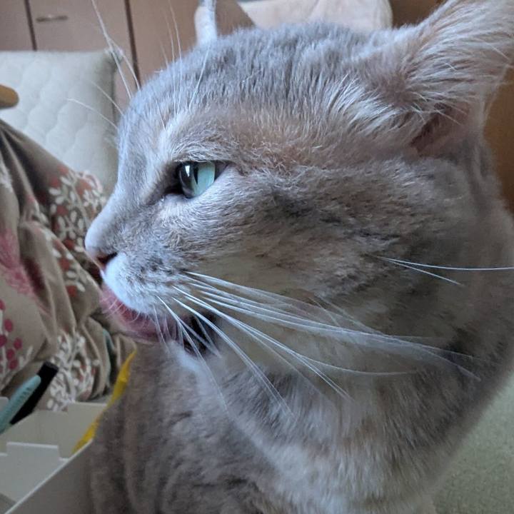 Bce23a0a 818f 4756 b304 de35625d600f 1736853454282