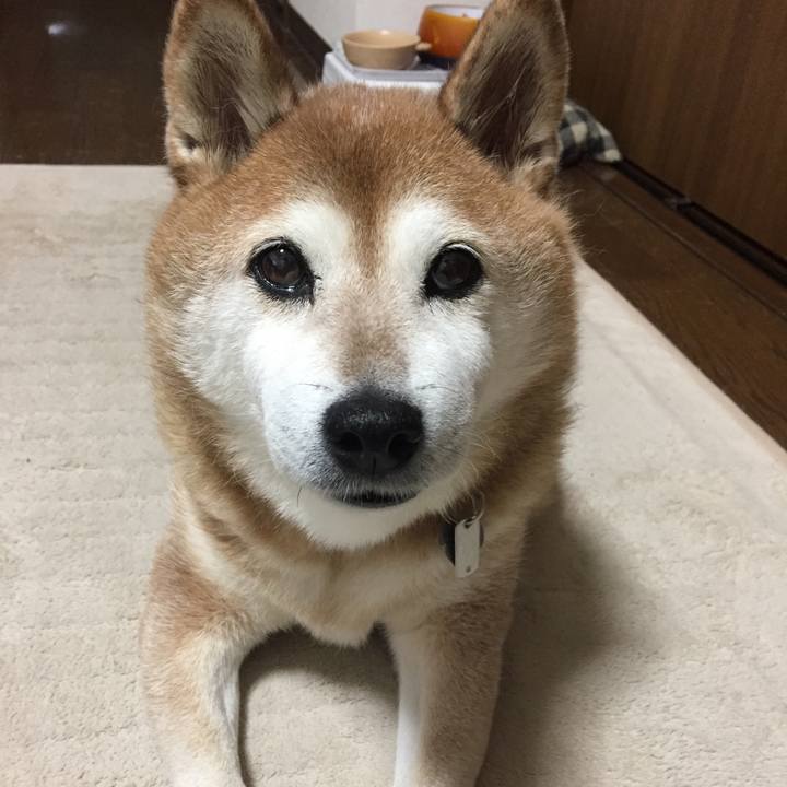 Bce25171 8ef9 4d27 9f41 5ba1744356f5 1536050488469