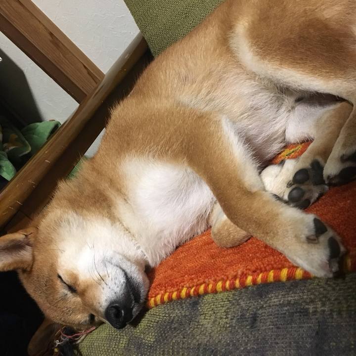 Bce27830 dc47 429a 8021 4bd74633fb34 1537829216003