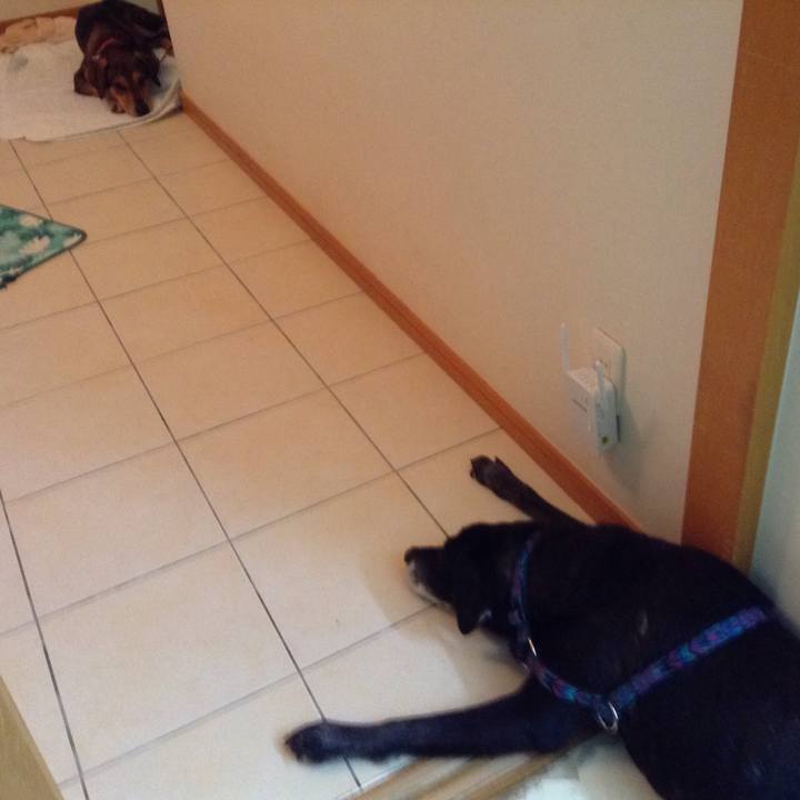 Bce2ad85 240f 456c 8705 c704a7dcd50a 1510830941732