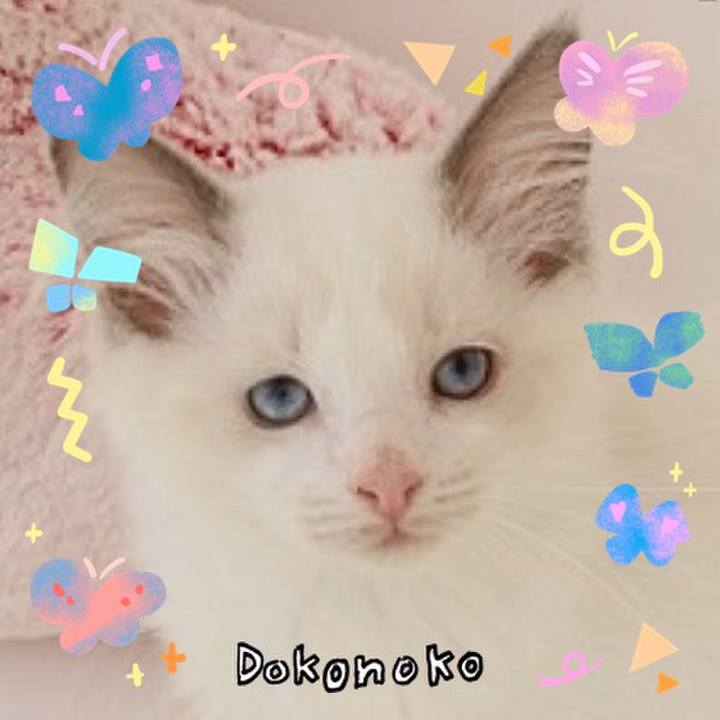 Bce2b670 c17f 4e8a 9f12 7a19394bf736 1711094495831