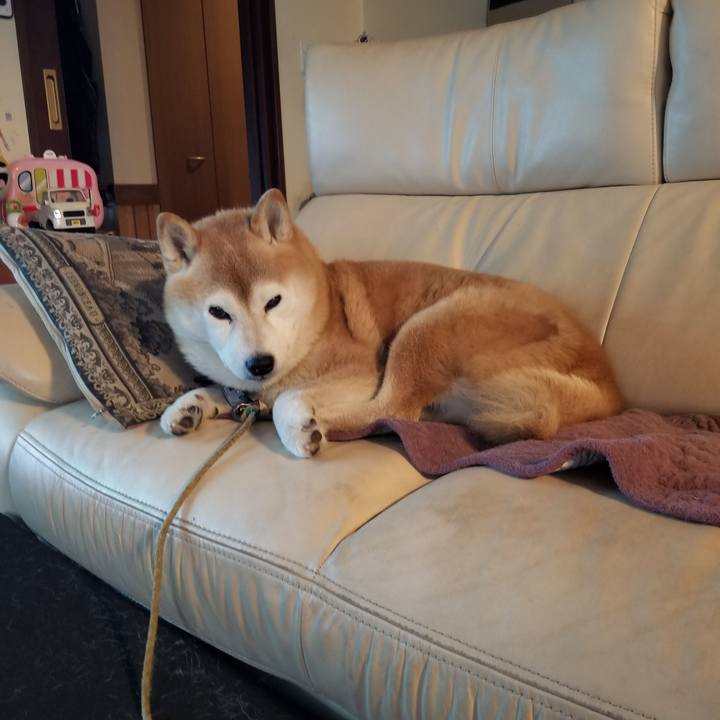 Bce2b6ed 45da 4931 a684 9e2c94b7c78d 1700347857712