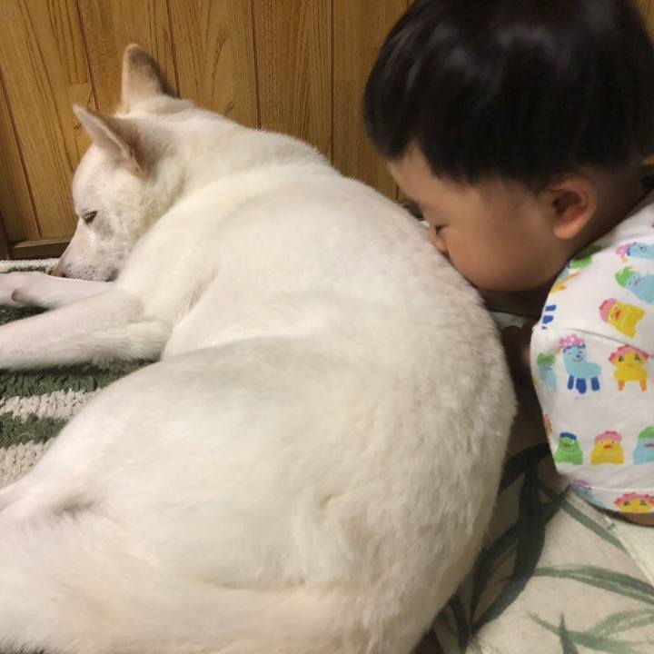 Bce34b5e b150 476a a0c4 edb891f5f0a5 1604570384010