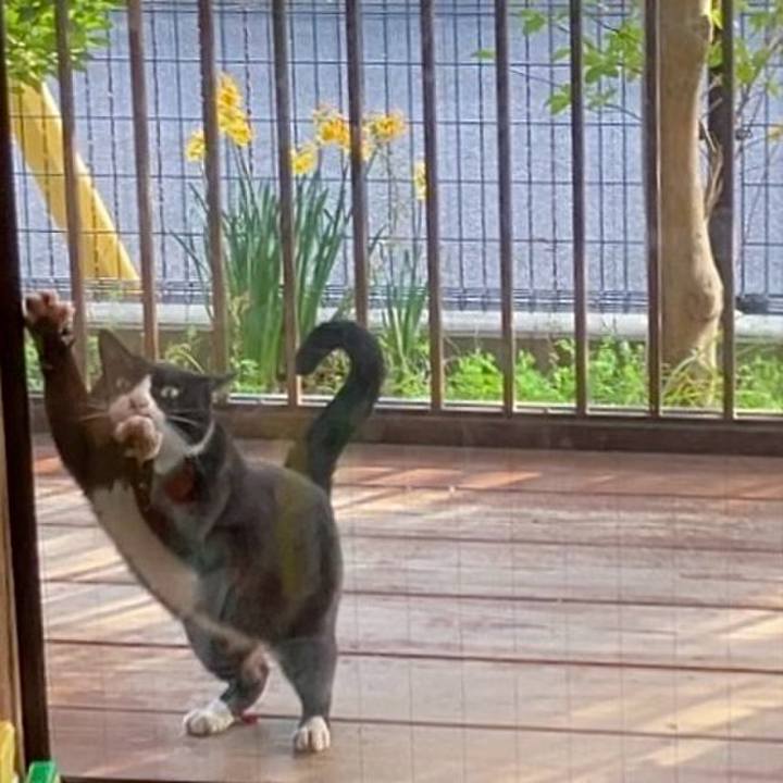 Bce36ec2 4223 445c a652 78c5d29b52a0 1742816799645