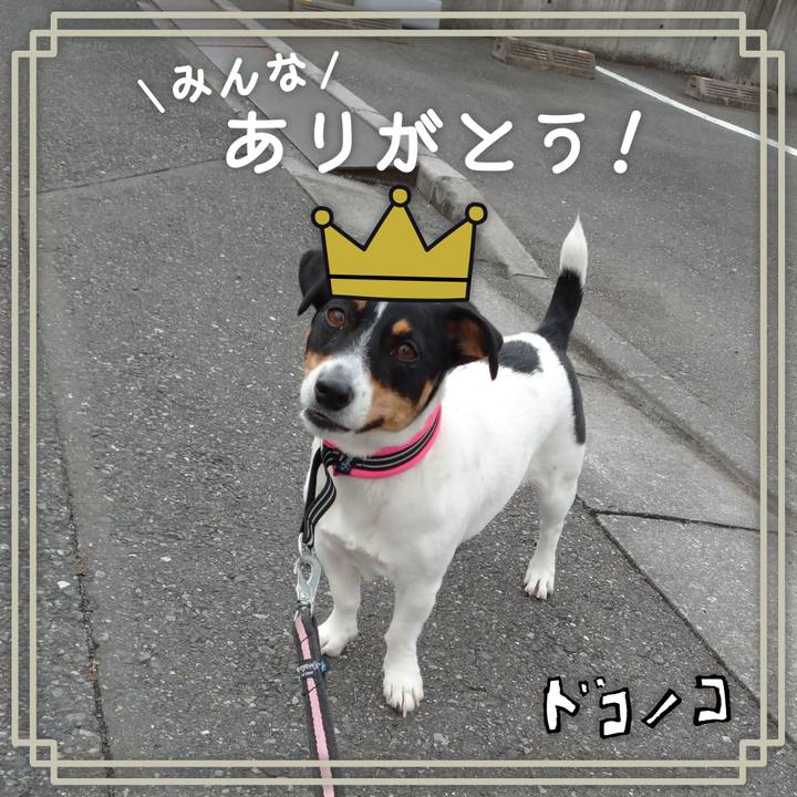 Bce3a6a3 3a30 44ad b1cd d023c46bb876 1622898982990